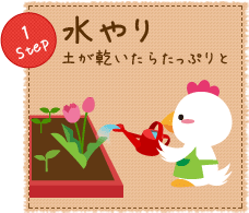 Step1 水やり
