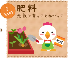 Step2 肥料