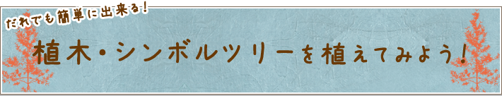 植木・シンボルツリーを植えてみよう!