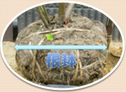 ��ȭ���᡼��