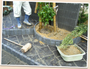 ���ڤ��֤������᡼��