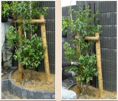 �������������Υ��᡼��