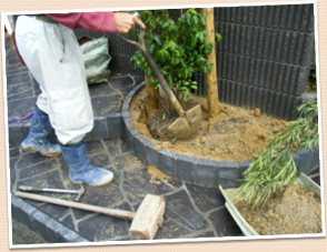 ������ʤɤ��ڤ�Ĵ�����륤�᡼��