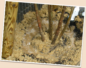 ��ȭ��Ĥ��륤�᡼��