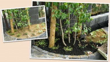 ������򤫤֤��륤�᡼��