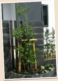 �������������᡼��